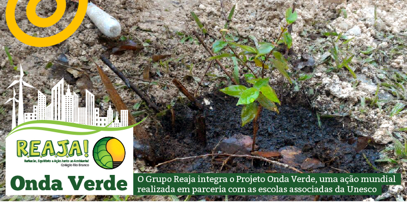 Comunidade riobranquina participa do Projeto Onda Verde
