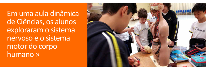 Ciências: alunos aprofundam conhecimentos sobre os sistemas do corpo humano