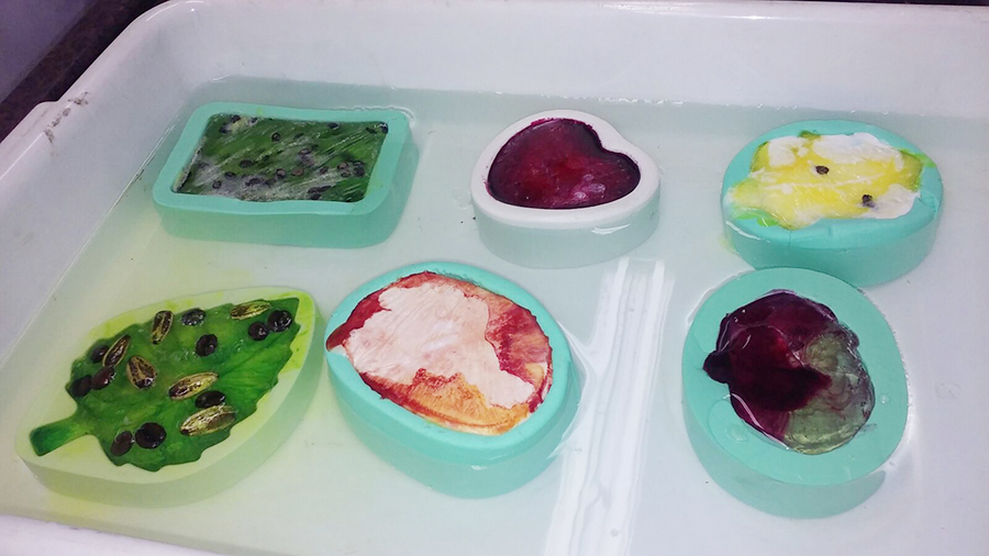 Tarde de Ci&ecirc;ncias da Natureza