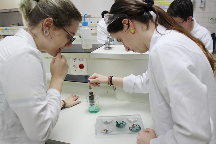 Tarde de Ci&ecirc;ncias da Natureza