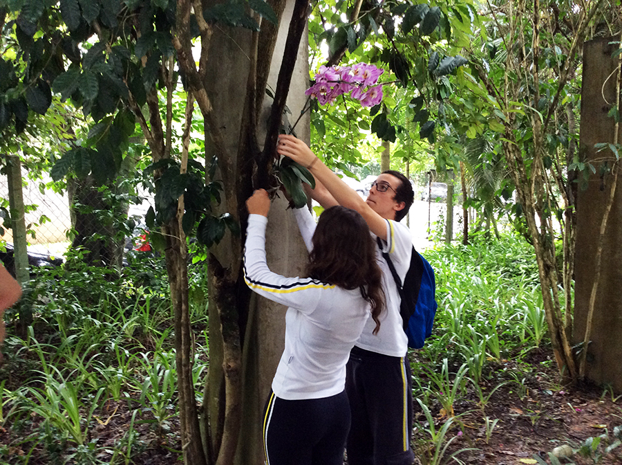 Despedida dos alunos do 3&ordm; ano do Ensino M&eacute;dio