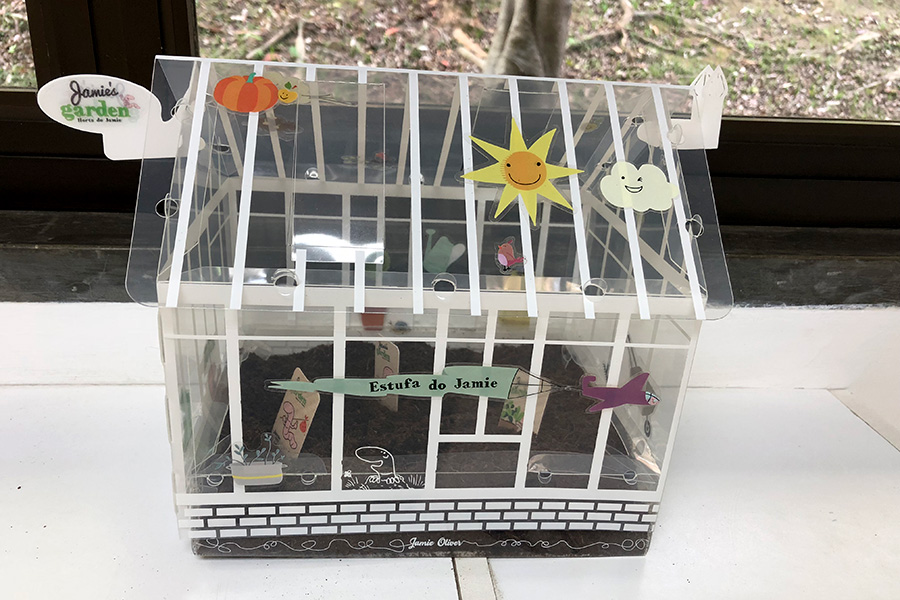 Projeto mini greenhouse: plantar, cuidar, esperar e colher