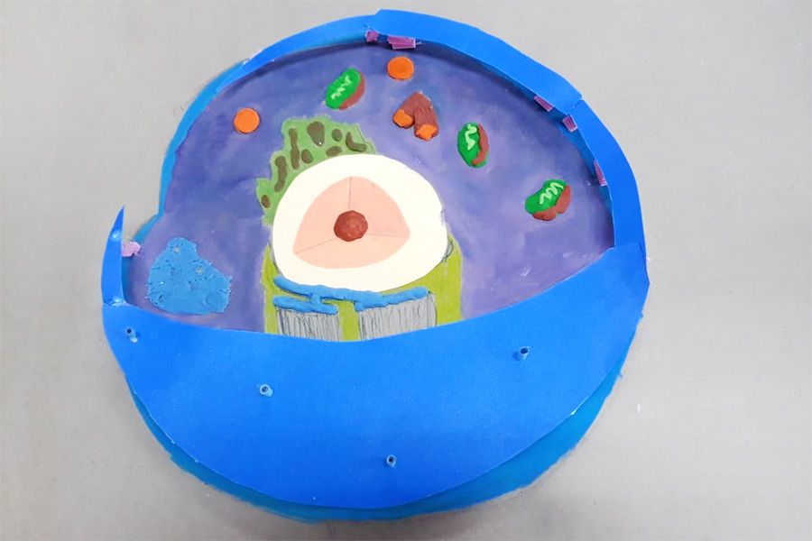 Biologia: alunos fazem representações de organelas no espaço maker