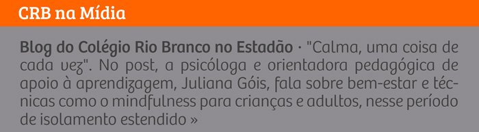 Blog do Colégio Rio Branco no Estadão - 'Calma, uma coisa de cad vez'