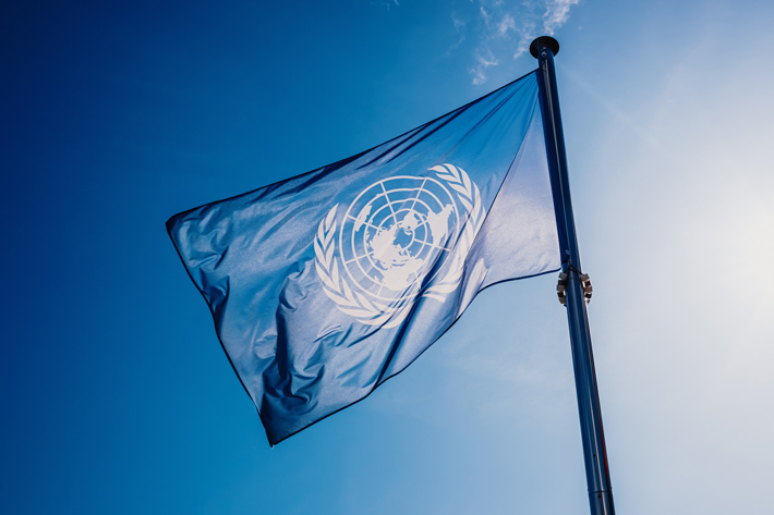 Dia Nacional das Nações Unidas (24/10): entenda a importância do CRBMUN – simulação de modelo ONU do Colégio Rio Branco