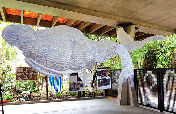 Coletivo Humana Mente