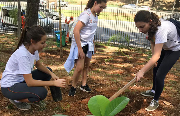 Reaja – Reflexão, Equilíbrio e Ação Junto ao Ambiente