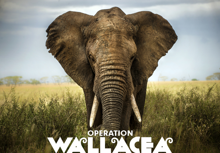 Operation Wallacea